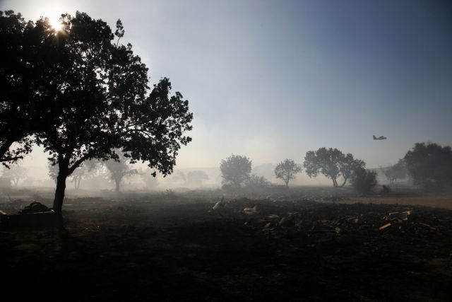 Υπό μερικό έλεγχο πυρκαγιά στο Σχιστό Κορυδαλλού – Σε ύφεση φωτιά στο Ναύπλιο